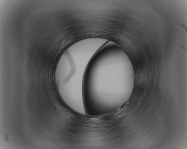 X0000091900176200709051111