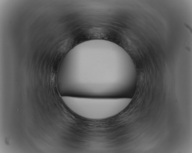 X0000091900177200709051111