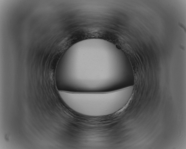 X0000091900178200709051111