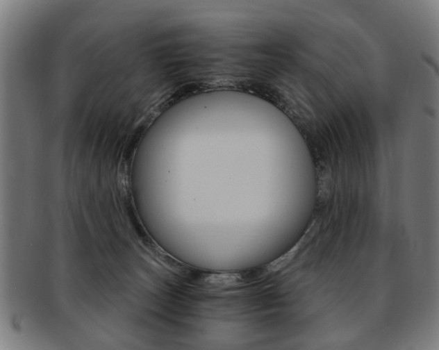X0000091900179200709051111