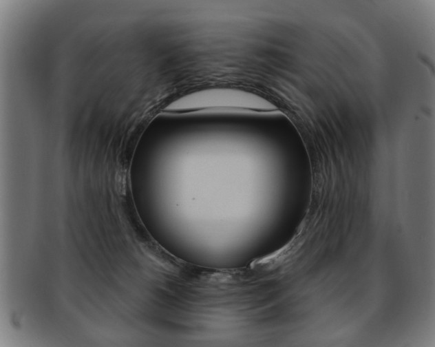 X0000091900180200709051111