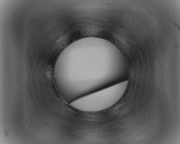 X0000091900181200709051111