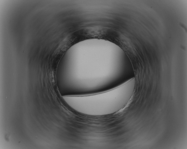 X0000091900182200709051111