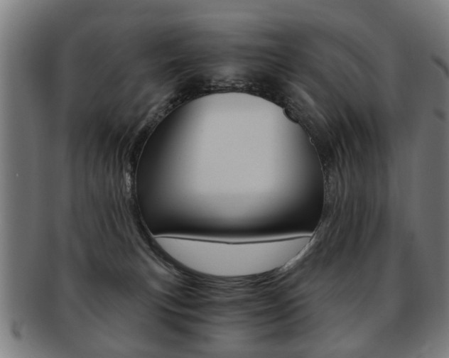 X0000091900183200709051111