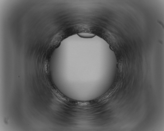 X0000091900185200709051111
