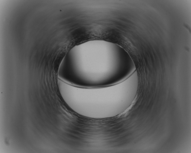 X0000091900186200709051111