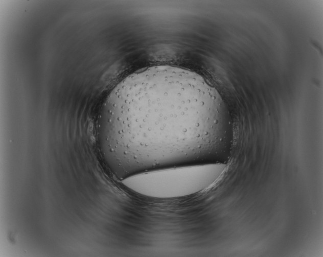 X0000091900187200709051111