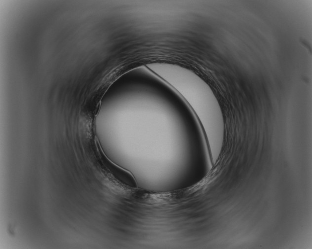X0000091900188200709051111