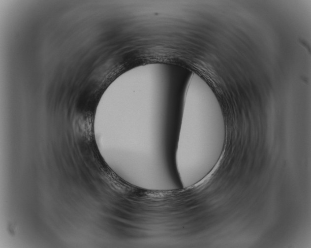 X0000091900190200709051111
