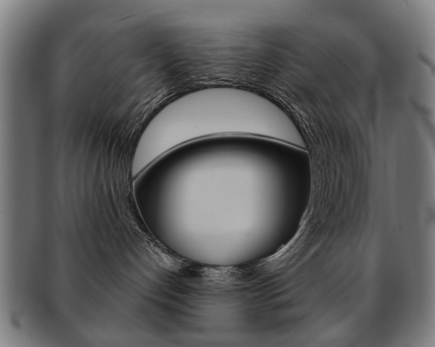 X0000091900192200709051111