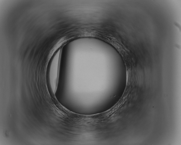 X0000091900195200709051110