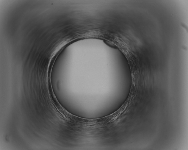 X0000091900196200709051110