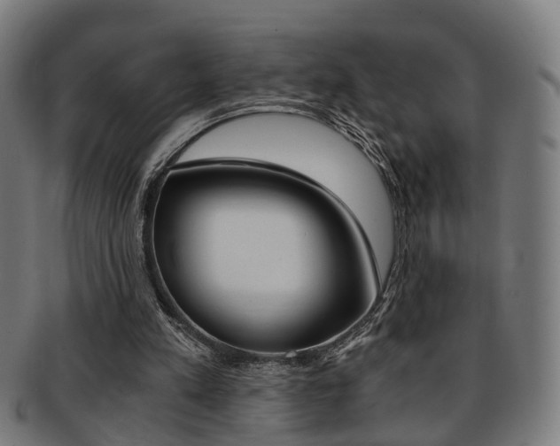 X0000091900197200709051110