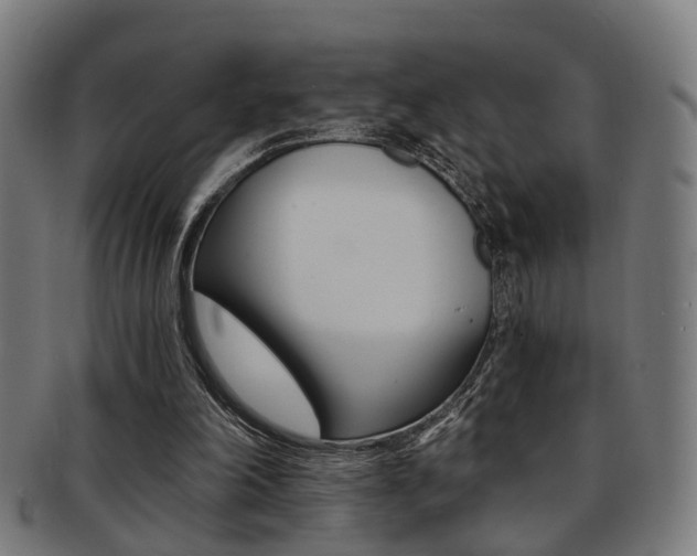 X0000091900198200709051110