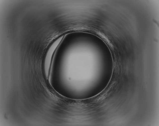 X0000091900201200709051110