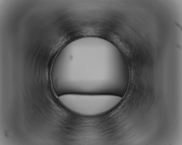 X0000091900202200709051110