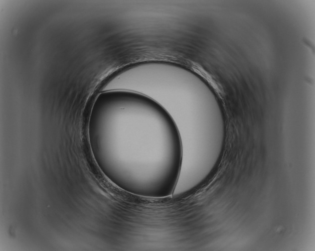 X0000091900203200709051110