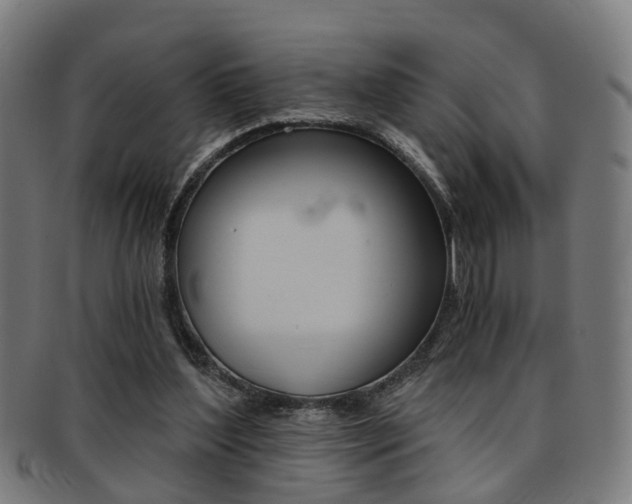 X0000091900204200709051110