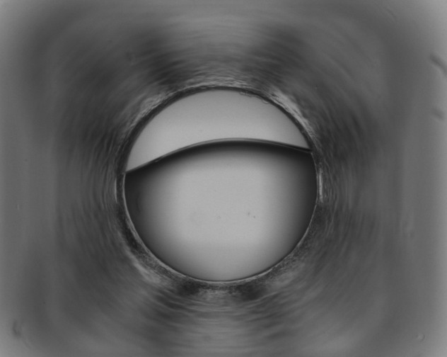X0000091900205200709051110