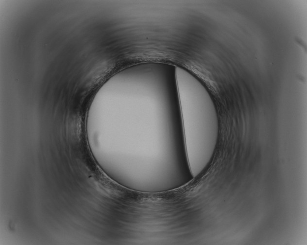 X0000091900206200709051110