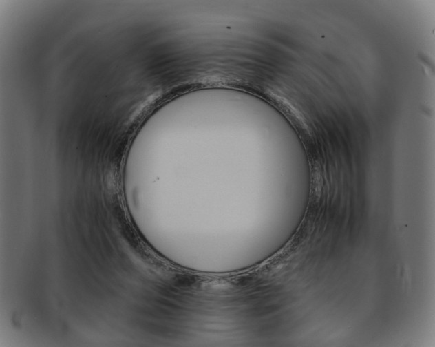 X0000091900208200709051110