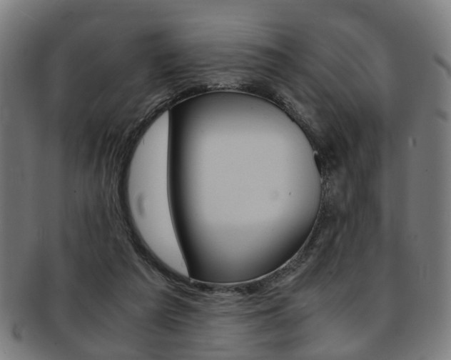 X0000091900209200709051110