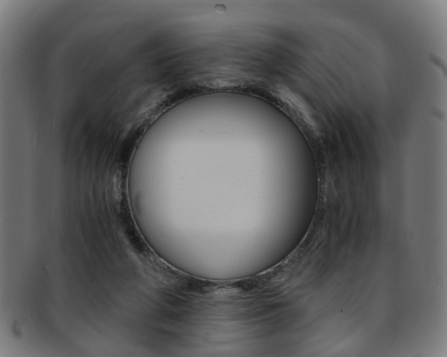 X0000091900210200709051110