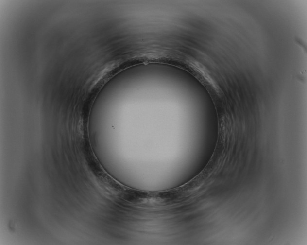 X0000091900212200709051110