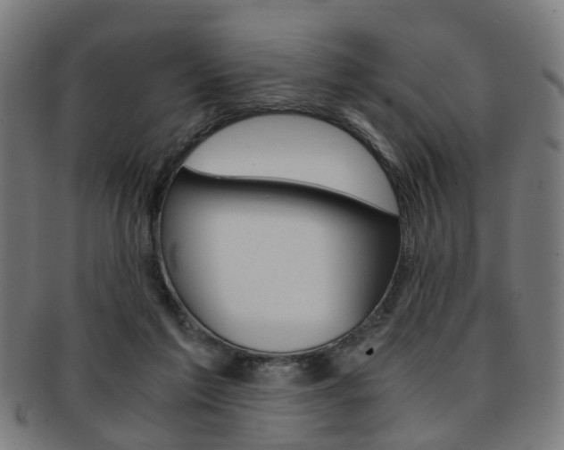 X0000091900213200709051110