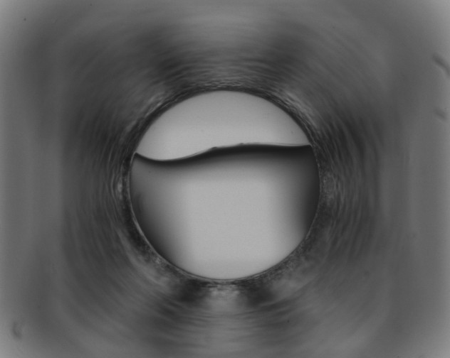 X0000091900214200709051110