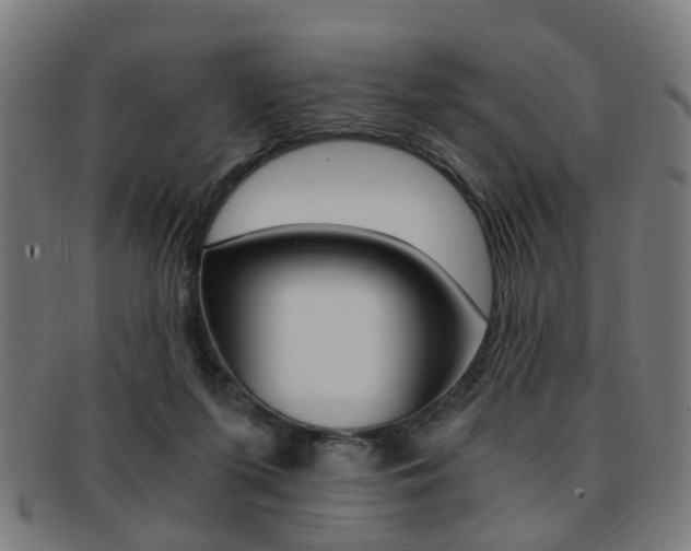 X0000091900215200709051110