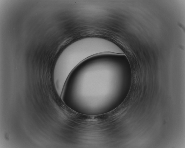 X0000091900216200709051110