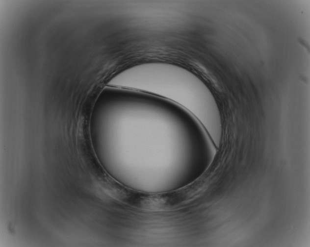 X0000091900217200709051110