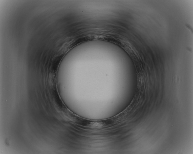 X0000091900218200709051110