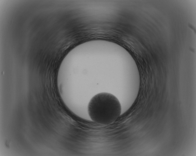 X0000091900219200709051110