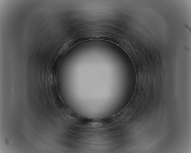 X0000091900220200709051110