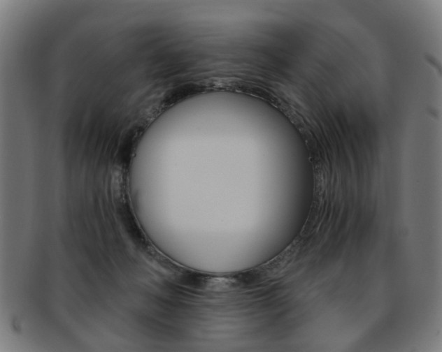 X0000091900222200709051110