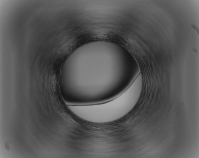 X0000091900223200709051110