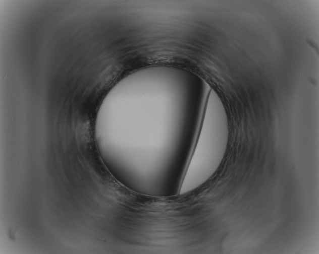X0000091900224200709051110