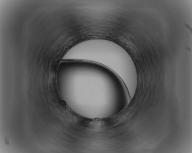 X0000091900225200709051110