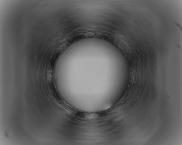 X0000091900226200709051110