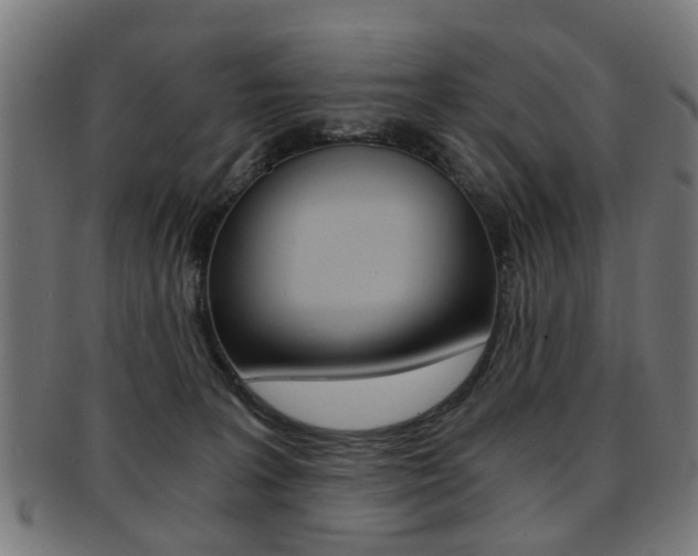 X0000091900227200709051110