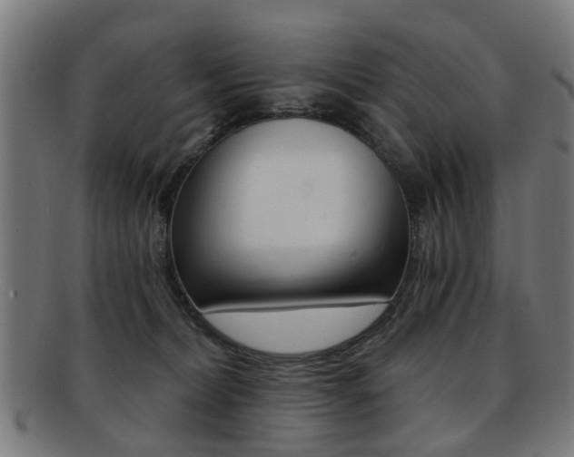 X0000091900228200709051110