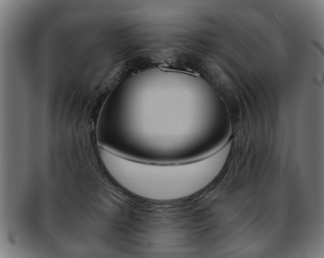 X0000091900229200709051110