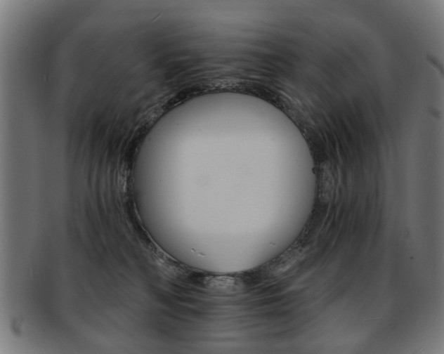 X0000091900230200709051110