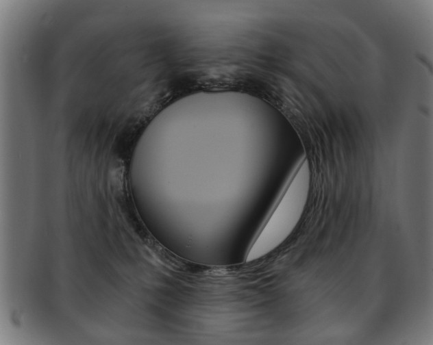 X0000091900231200709051110