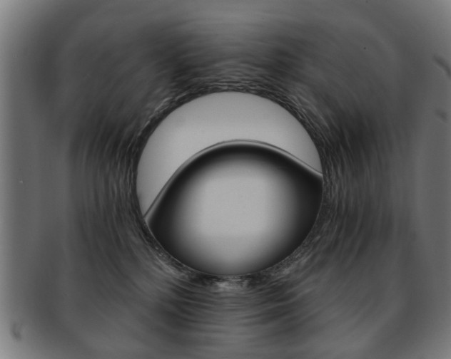 X0000091900232200709051110
