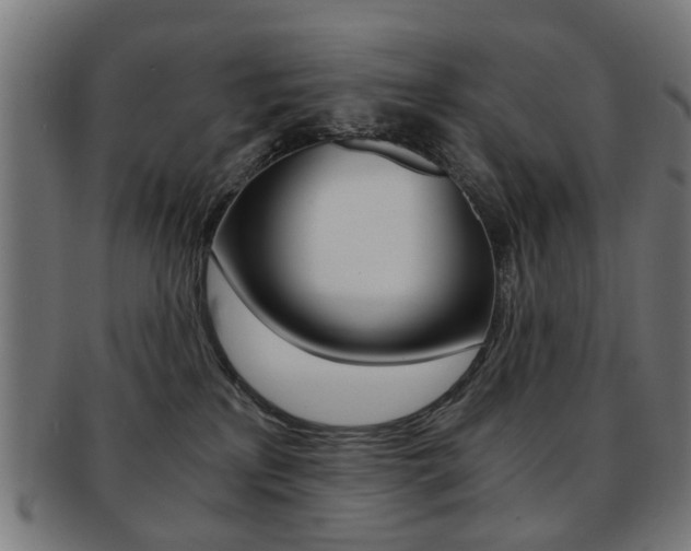 X0000091900233200709051110