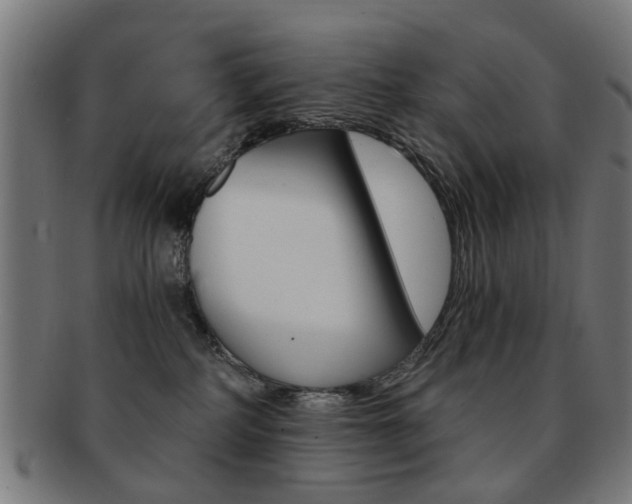 X0000091900234200709051110