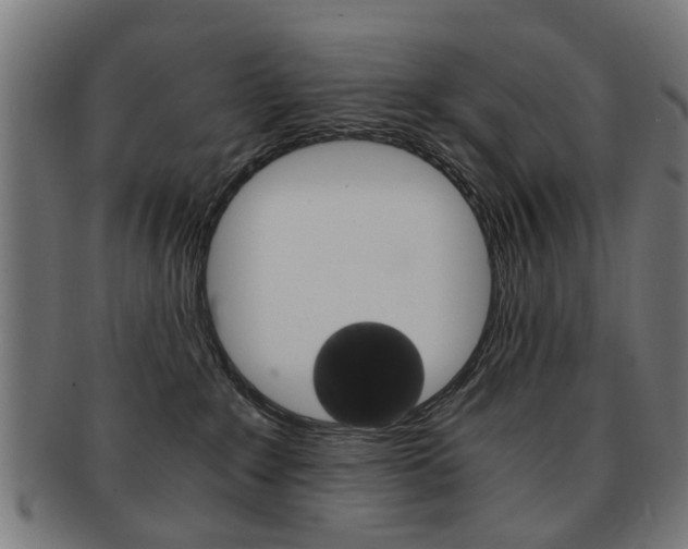 X0000091900235200709051110